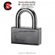 Cadenas Mul-T-Lock  Serie C16